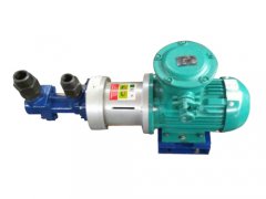  螺桿磁力泵